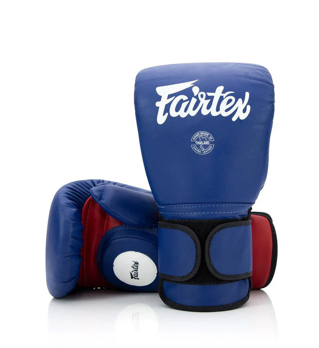 Fairtex Coach Sparring Gloves BGV13