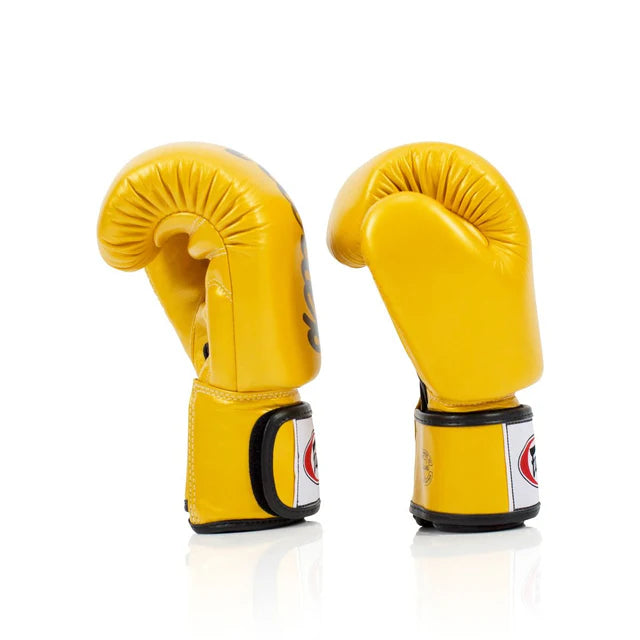 Fairtex Boxing Gloves Deluxe Tight-fit - BGV19