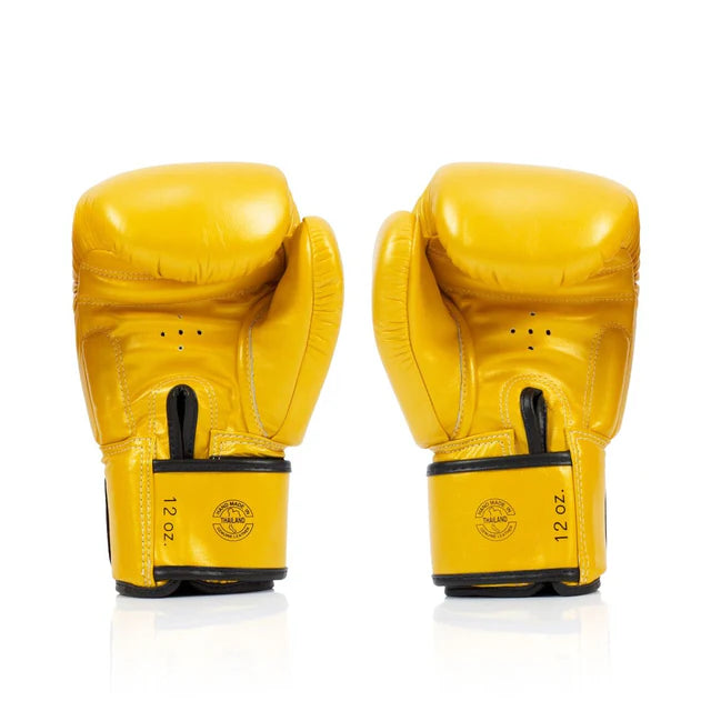 Fairtex Boxing Gloves Deluxe Tight-fit - BGV19