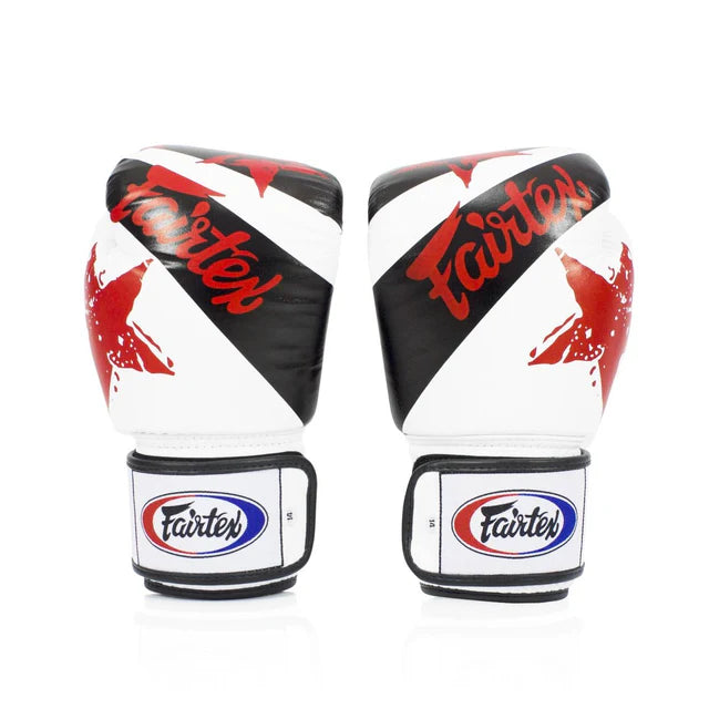 Fairtex Boxing Gloves BGV1 "Tight Fit" NATION PRINTS