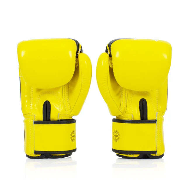 Fairtex Boxing Gloves BGV1 "Tight Fit" NATION PRINTS