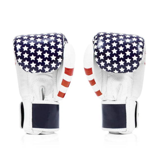 Fairtex ボクシンググローブ BGV1「タイトフィット」USA