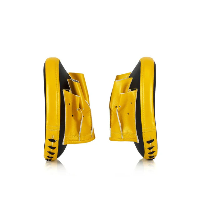 Fairtex FOCUS MITTS FMV15 Punching Mitts for Speed and Accuracy