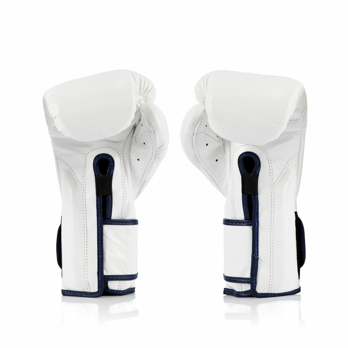 Fairtex Boxing Gloves BGV9