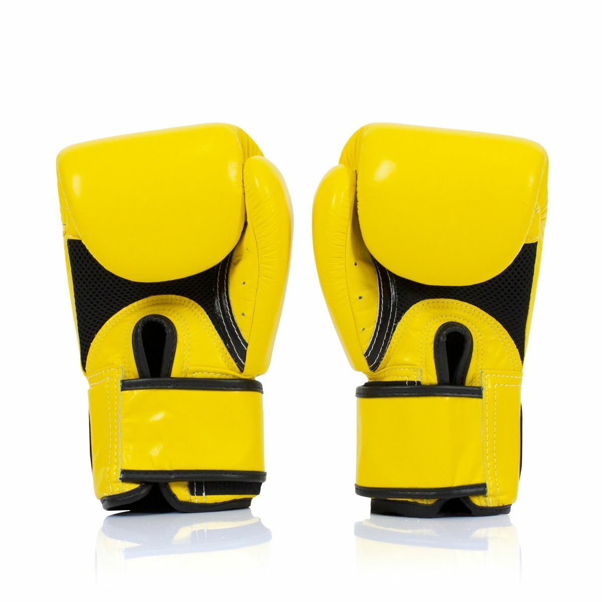 Fairtex Boxing Gloves BGV1-BR Breathable Gloves