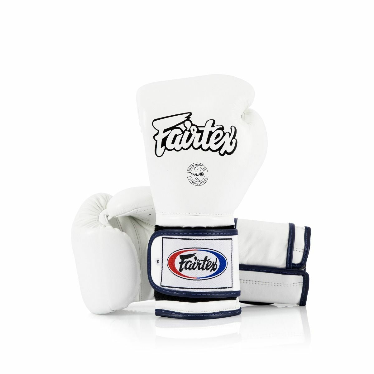 Fairtex Boxing Gloves BGV9