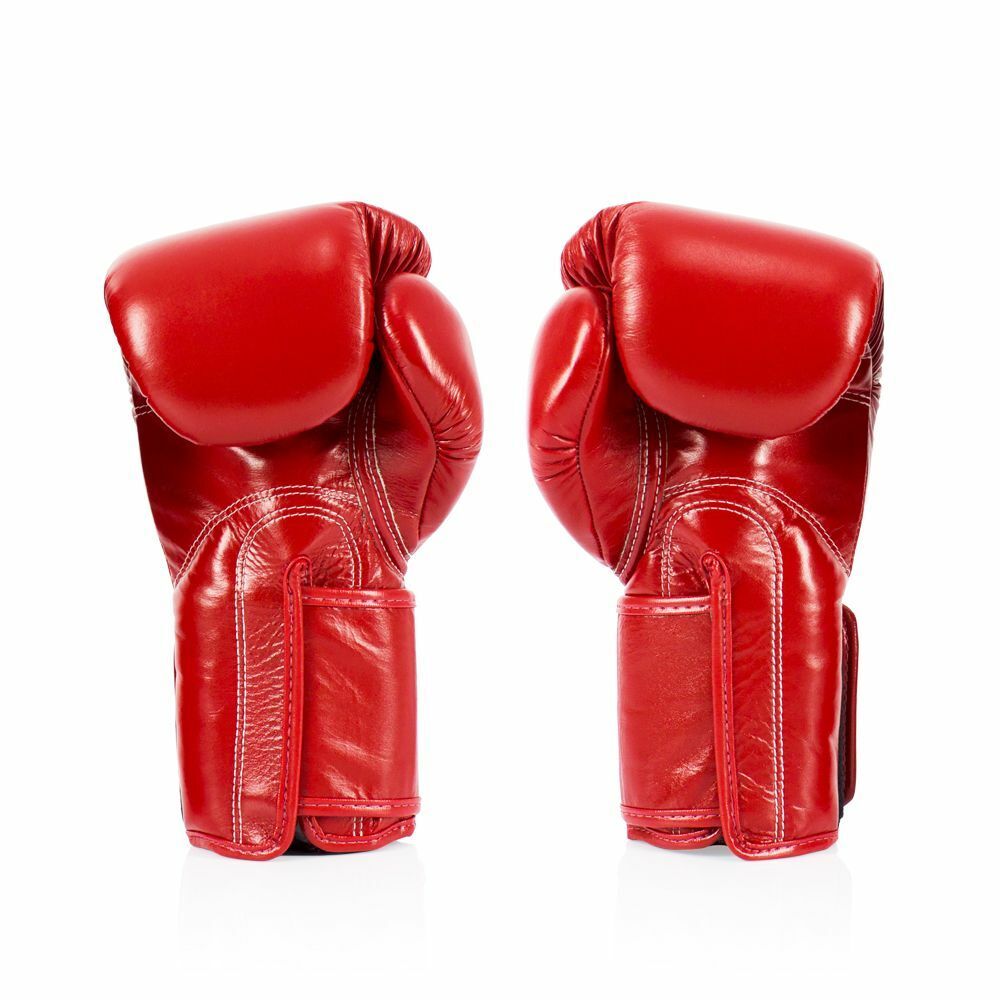 Fairtex Boxing Gloves BGV5