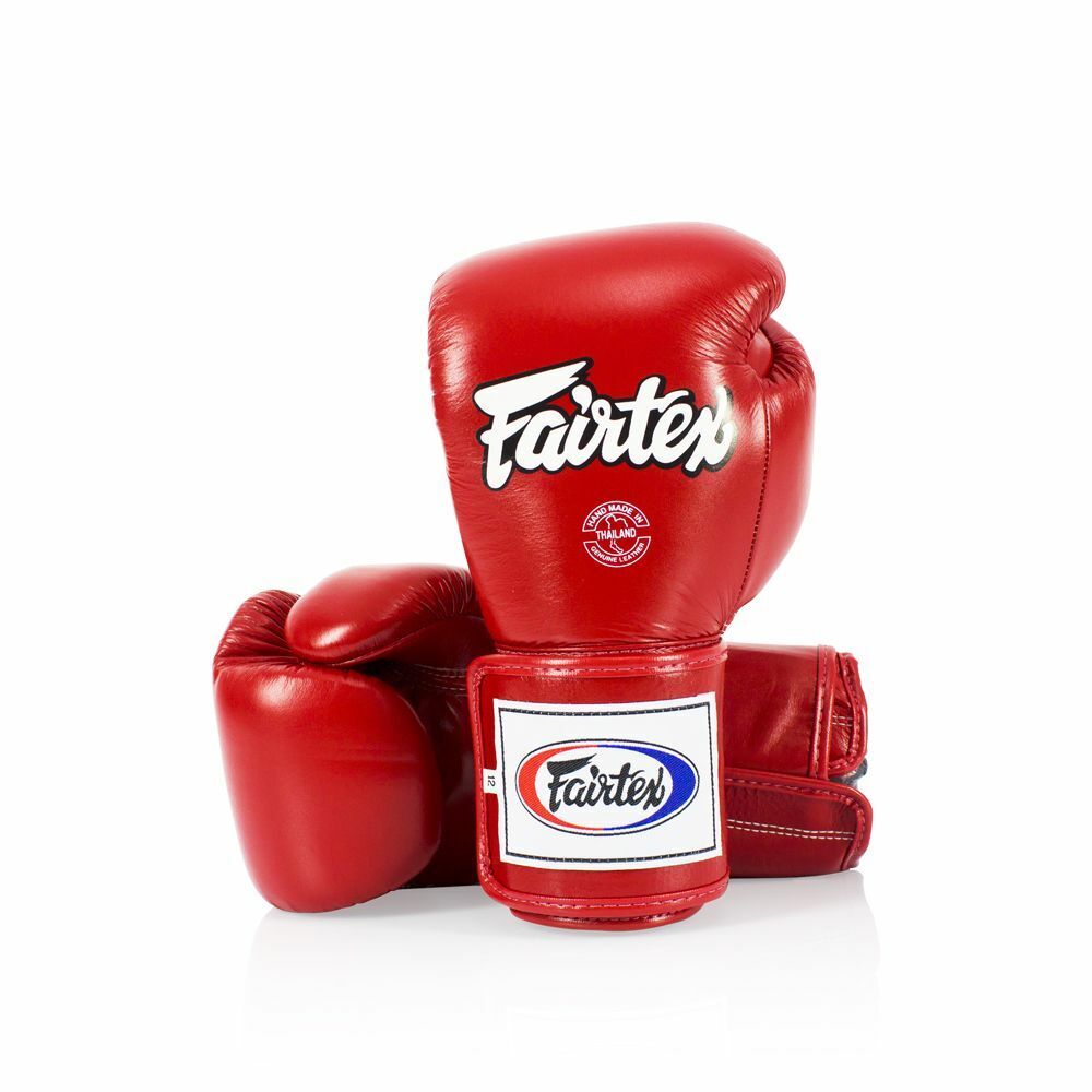 Fairtex Boxing Gloves BGV5