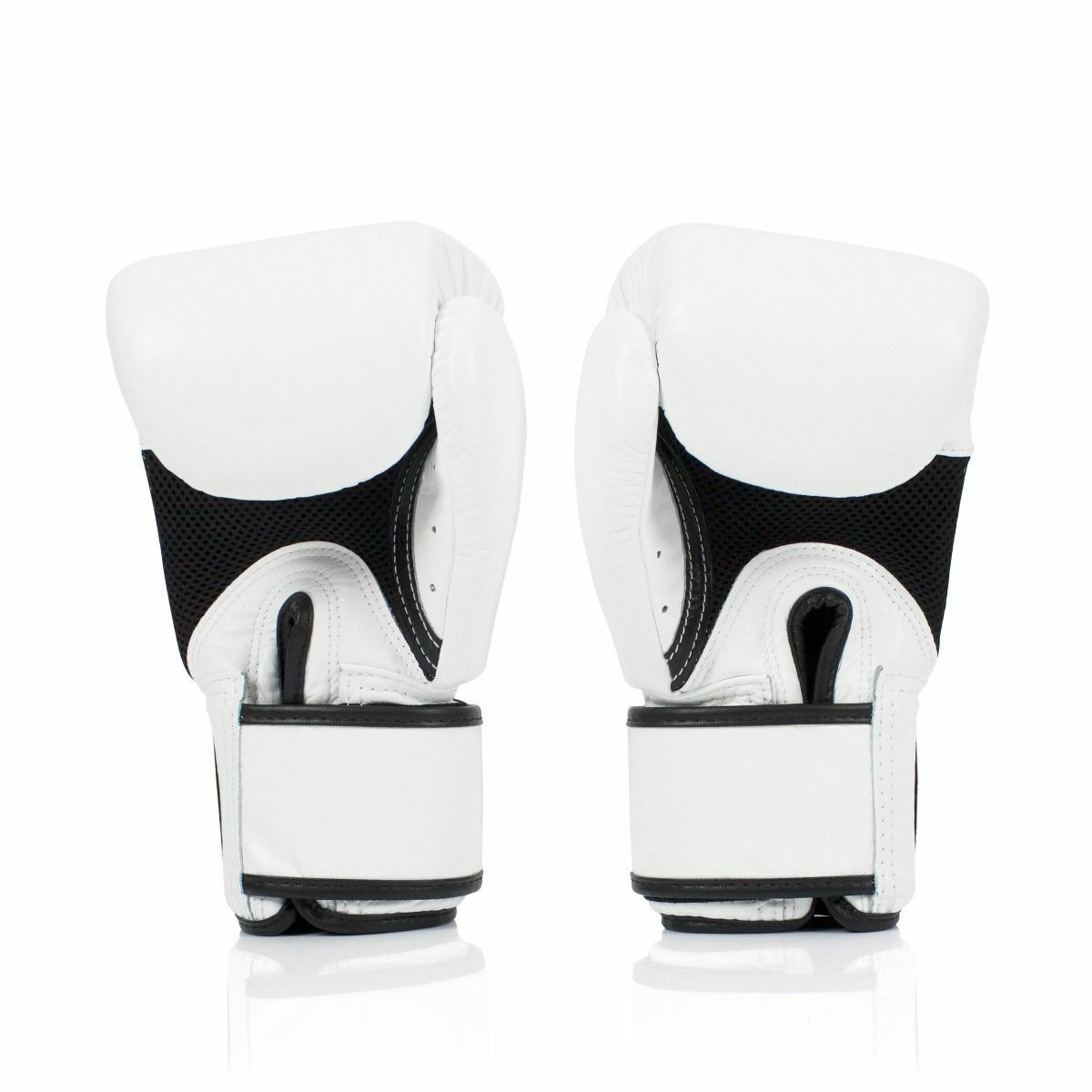 Fairtex Boxing Gloves BGV1-BR Breathable Gloves