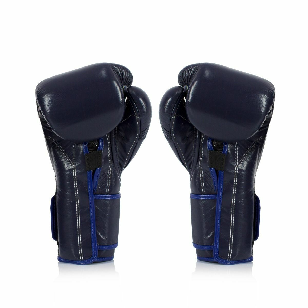 Fairtex Boxing Gloves BGV9