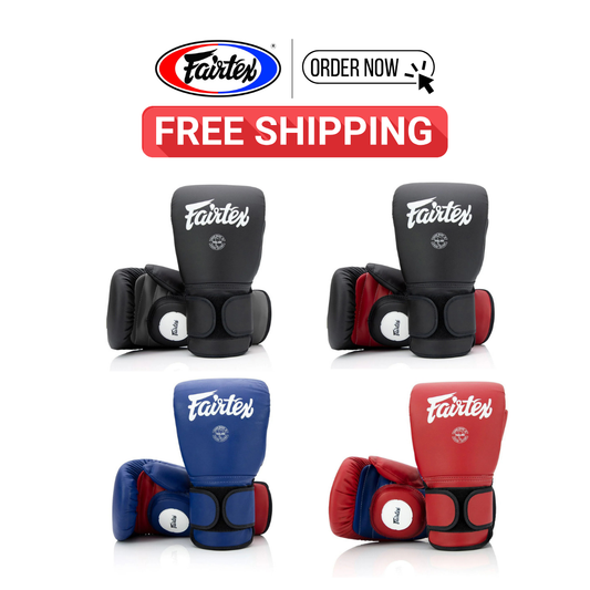 Fairtex コーチ用スパーリンググローブ BGV13